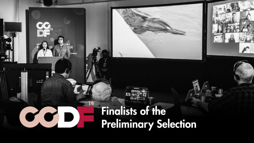 CCDF-14 Finalists of the Preliminary Selection