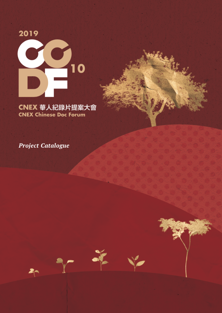 Ccdf 10 封面