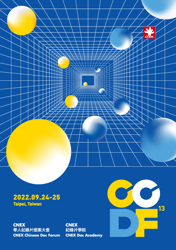 Poster Ccdf13(ol)
