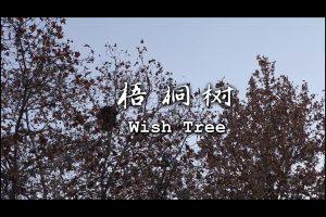 087 梧桐樹 蘇青 米娜